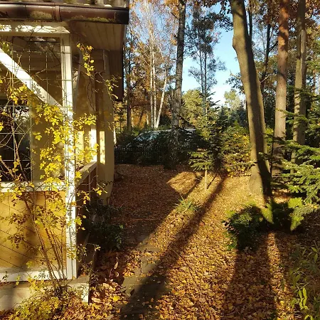 Gemutlicher Ferienbungalow Am Felsensee Bei * Pretzien